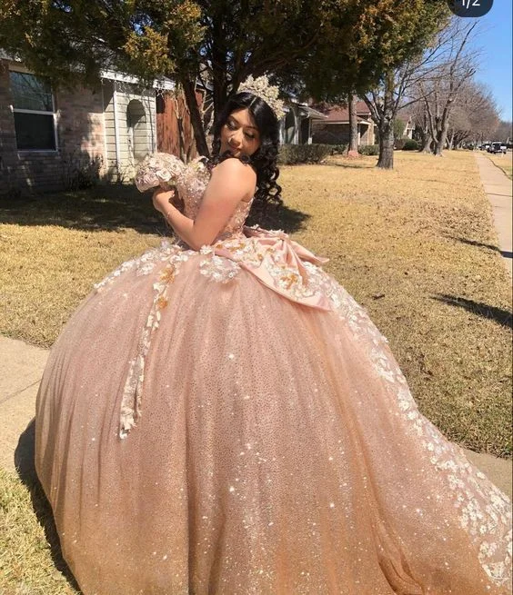 Formal Dress for Theme Park EventsSparkly Quinceanera Dress Ball Gown Sweet 16 Dress Y6519